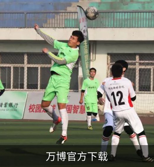 万博官方下载概况