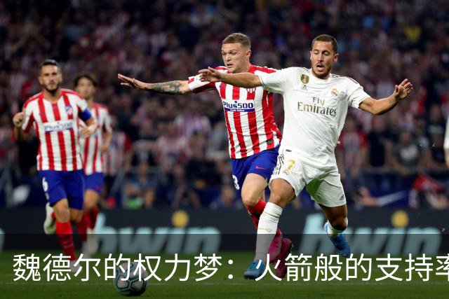 魏德尔的权力梦：火箭般的支持率与实票无缘的尴尬